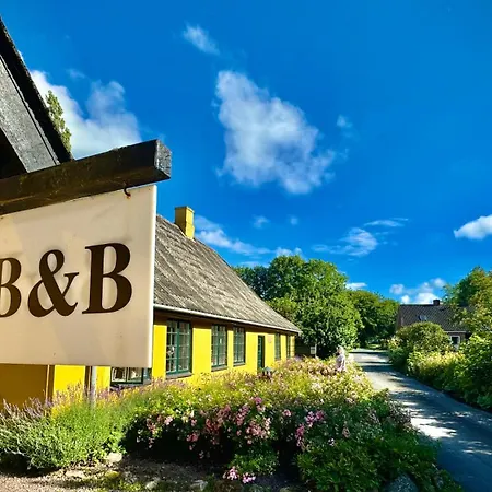 Dyrlev Bed&Breakfast-3